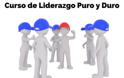 #11 Liderazgo. Curso de liderazgo puro y duro.