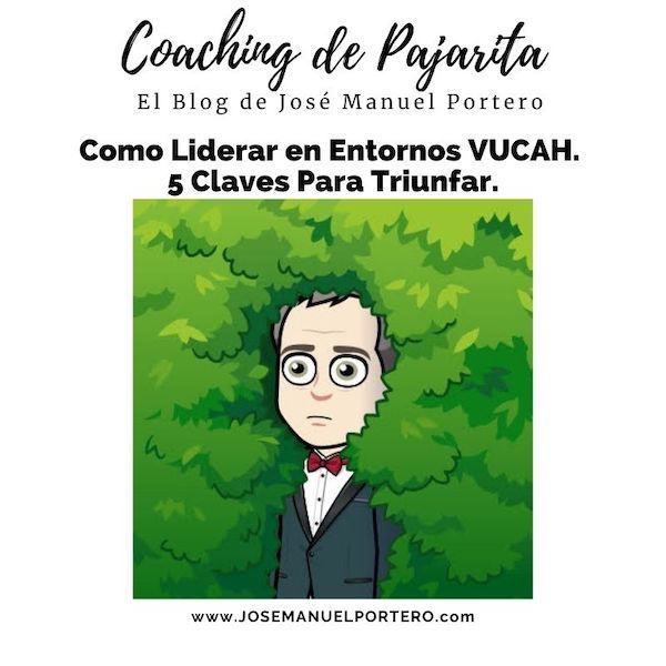 #20 Liderazgo. Como Liderar en Entornos VUCAH. 5 Claves Para Triunfar.